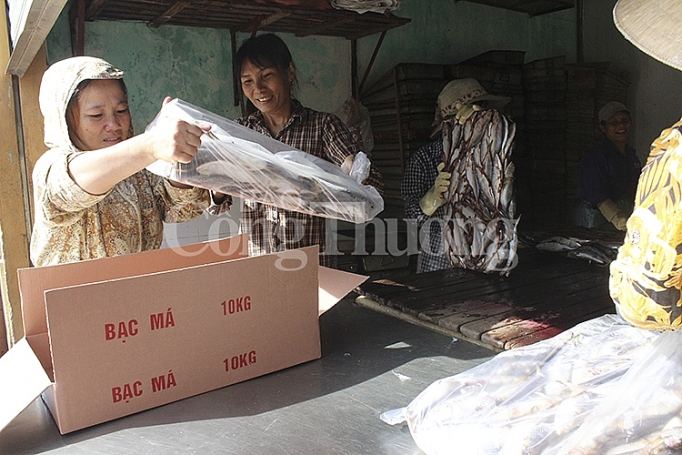 Nghệ An: Gian nan gỡ “thẻ vàng” hải sản nghe an gian nan go the vang hai san