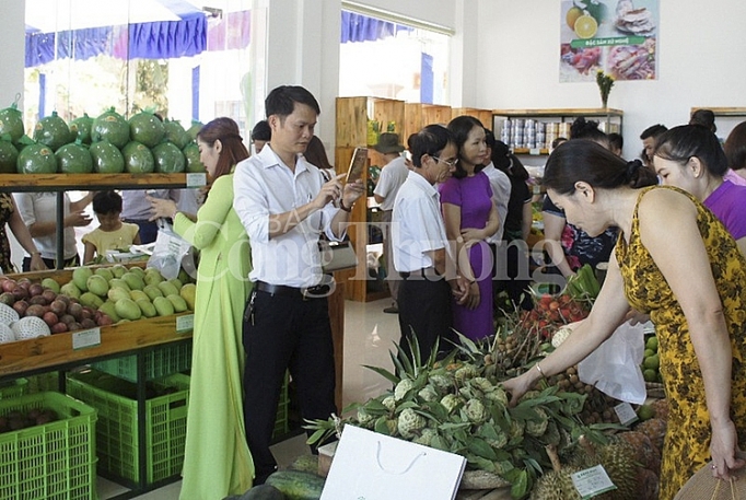 Nghệ An: Phấn đấu đến năm 2025 có 60 cửa hàng tiêu thụ nông sản sạch nghe an phan dau den nam 2025 co 60 cua hang tieu thu nong san sach