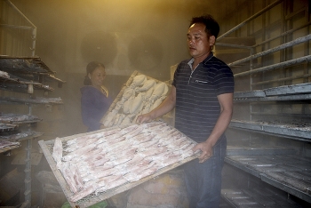 Nghệ An: Tồn kho hàng nghìn tấn hải sản do dịch Covid-19