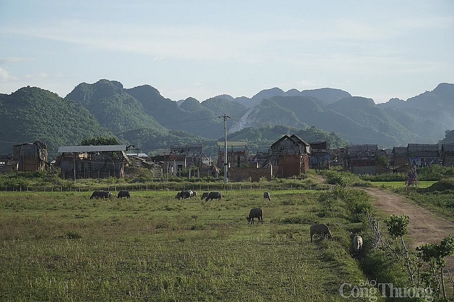 Nghệ An: Ước mơ phục sinh làng ngói Cừa