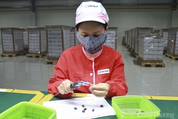 Nghệ An: Triển vọng công nghiệp khởi sắc 3 tháng cuối năm