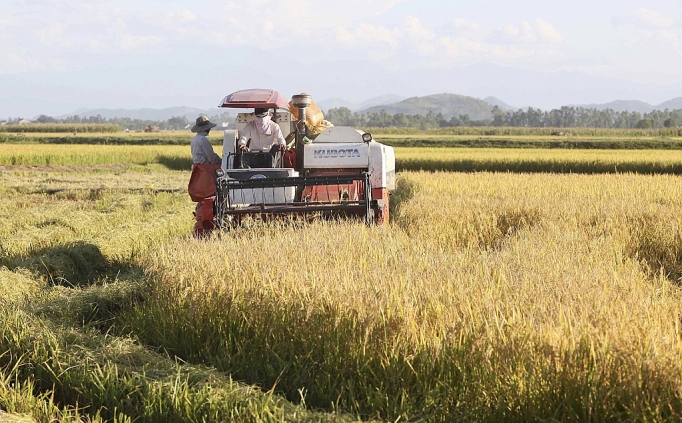 Nghệ An: Bộ mặt nông thôn mới có nhiều khởi sắc nghe an bo mat nong thon moi co nhieu khoi sac