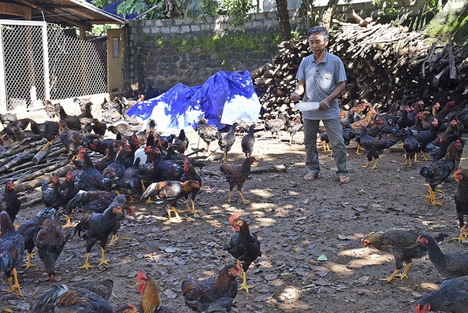 Nghệ An: Bộ mặt nông thôn mới có nhiều khởi sắc nghe an bo mat nong thon moi co nhieu khoi sac