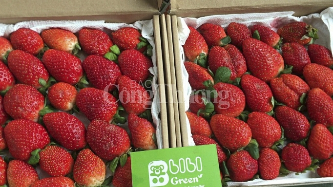 Đi chợ... online di cho online