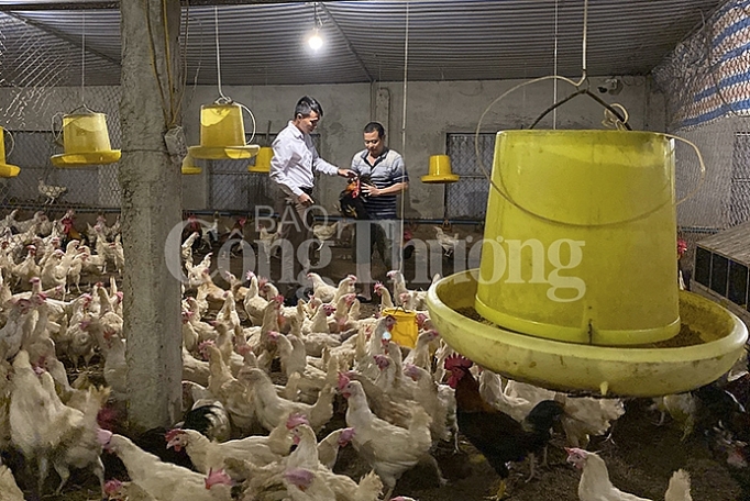 Hà Tĩnh: Không để thiếu thực phẩm tươi sống ngày tết ha tinh khong de thieu thuc pham tuoi song ngay tet