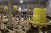 Hà Tĩnh: Không để thiếu thực phẩm tươi sống ngày tết