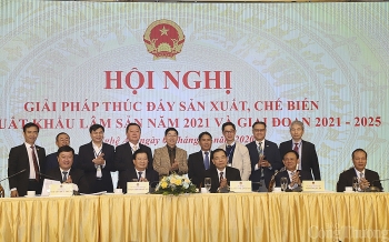 Năm 2020: Xuất siêu lâm sản trên 10 tỷ USD, cao nhất từ trước đến nay
