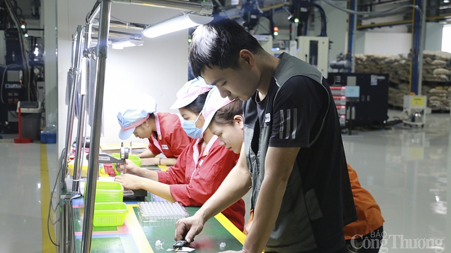 Nghệ An: Lao động "thừa" mà "thiếu" Nghệ An: Lao động "thừa" mà "thiếu"