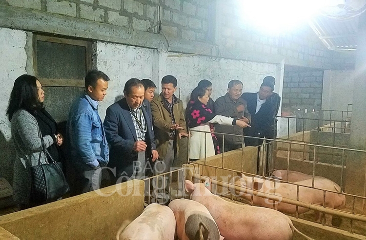 Thừa Thiên Huế: Hiệu quả từ mô hình tiêu thụ nông sản, cung ứng vật tư nông nghiệp thua thien hue hieu qua tu mo hinh tieu thu nong san cung ung vat tu nong nghiep