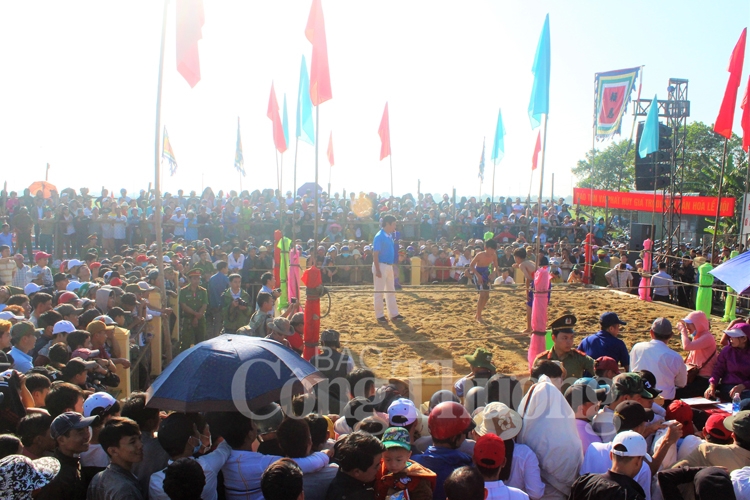 hon 100 do vat tham gia tranh tai tai hoi vat lang sinh