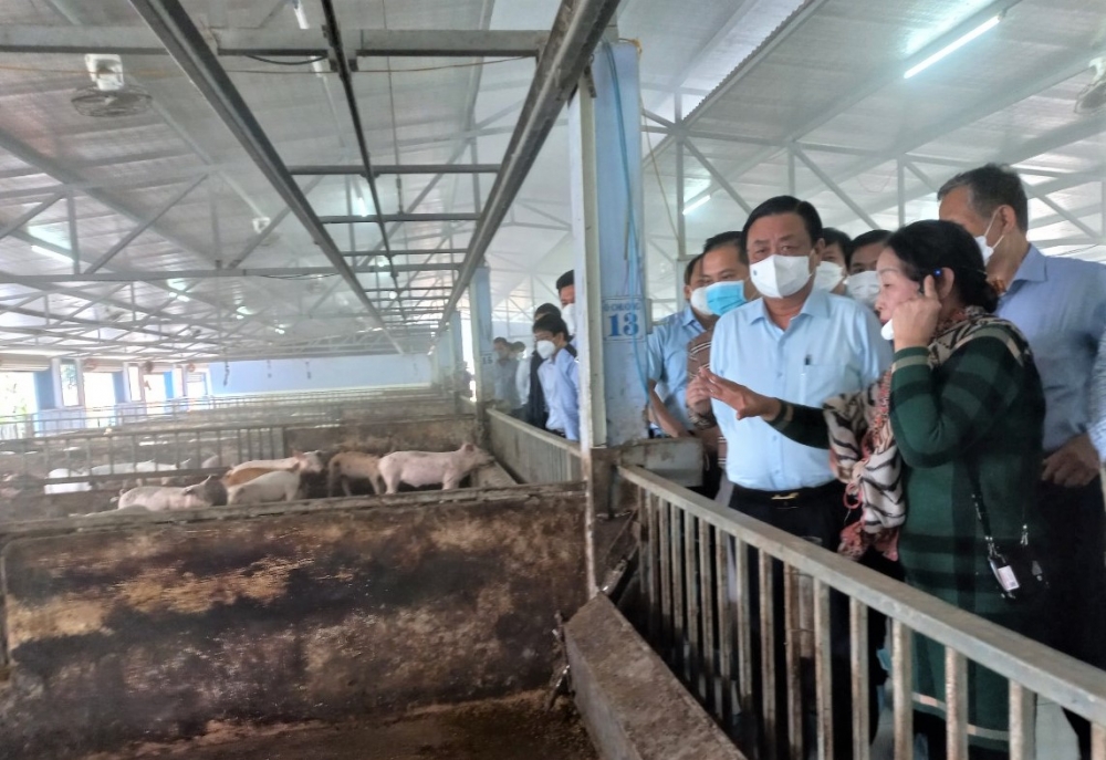 Phát triển nông nghiệp hữu cơ, nông nghiệp xanh là làm nông nghiệp có trách nhiệm và thay đổi nhận thức của người nông dân