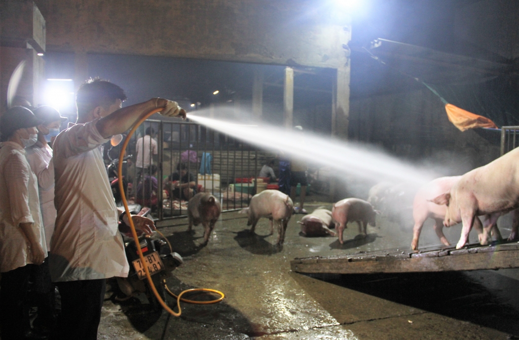 thua thien hue quyet liet phong chong dich ta lon chau phi