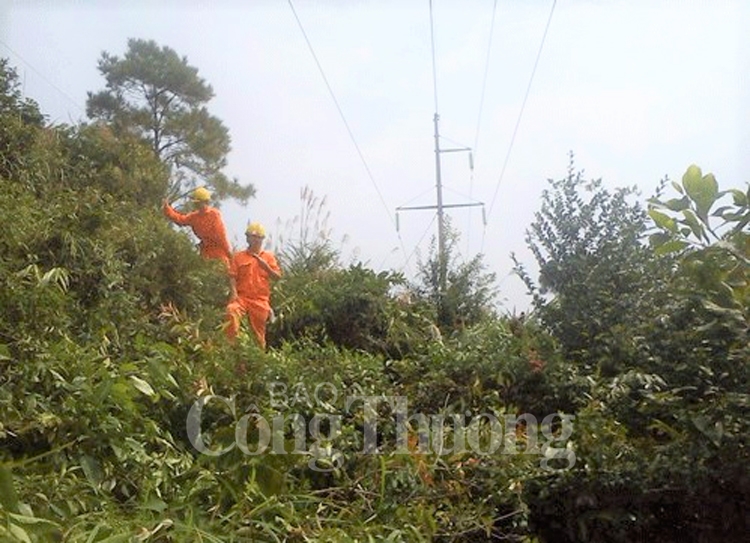 pc thua thien hue tang cuong bao ve hanh lang an toan luoi dien cao ap