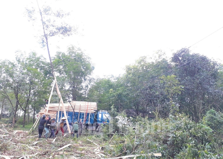 pc thua thien hue tang cuong bao ve hanh lang an toan luoi dien cao ap