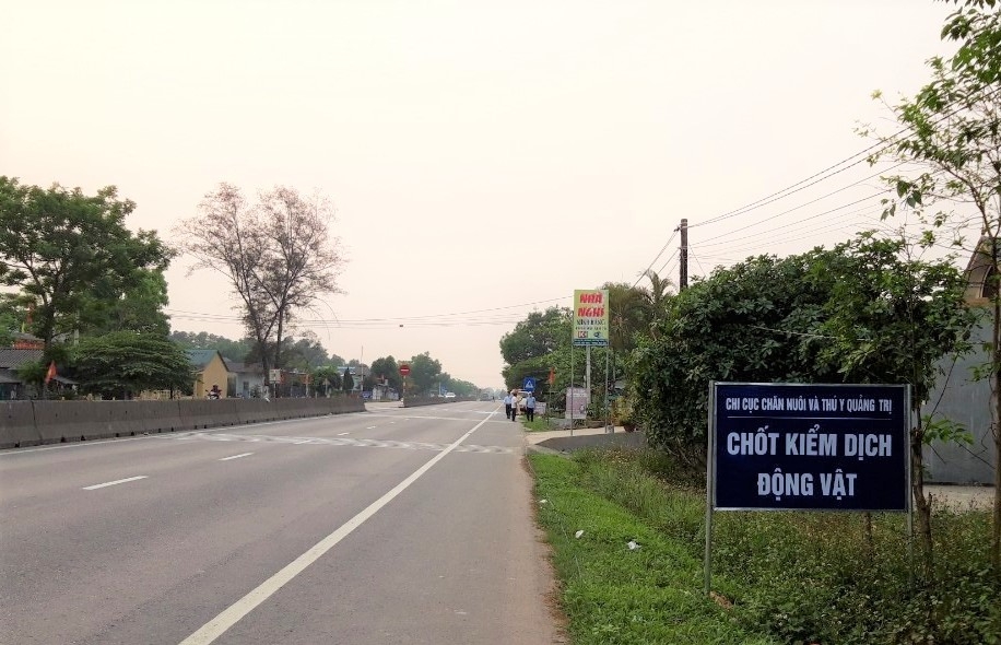 Quảng Trị xuất hiện dịch tả lợn châu Phi quang tri xuat hien dich ta lon chau phi