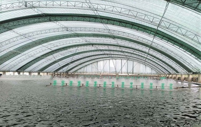 PC Quảng Bình: Đảm bảo nguồn điện phục vụ phát triển kinh tế - xã hội pc quang binh dam bao nguon dien phuc vu phat trien kinh te xa hoi