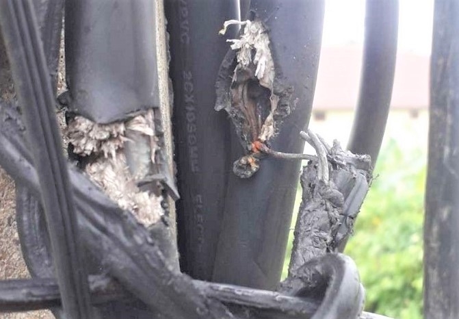 Quảng Bình: Tăng cường phát hiện và xử lý trình trạng trộm cắp điện