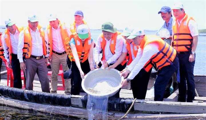Thừa Thiên Huế: Thành lập Khu bảo tồn thiên nhiên đất ngập nước Tam Giang – Cầu Hai thua thien hue thanh lap khu bao ton thien nhien dat ngap nuoc tam giang cau hai