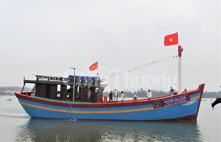 thua thien hue chua co tau ca vi pham khai thac thuy san trai phep