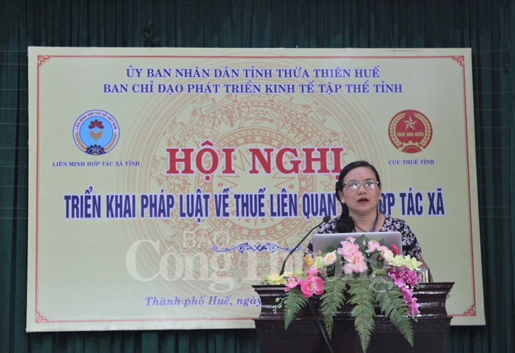 Thừa Thiên Huế phổ biến pháp luật về thuế liên quan đến hợp tác xã thua thien hue pho bien phap luat ve thue lien quan den hop tac xa