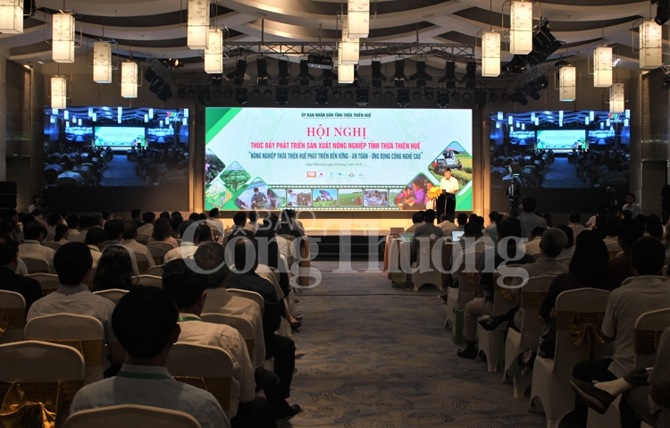 thua thien hue phat trien nong nghiep theo huong ben vung van hoa va dac sac