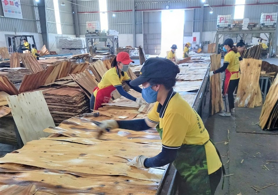 Quảng Bình: Chủ động trong việc cung ứng hàng hóa thiết yếu