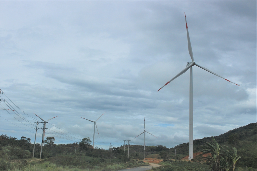 nhung canh quat khong lo tren canh dong dien gio huong linh