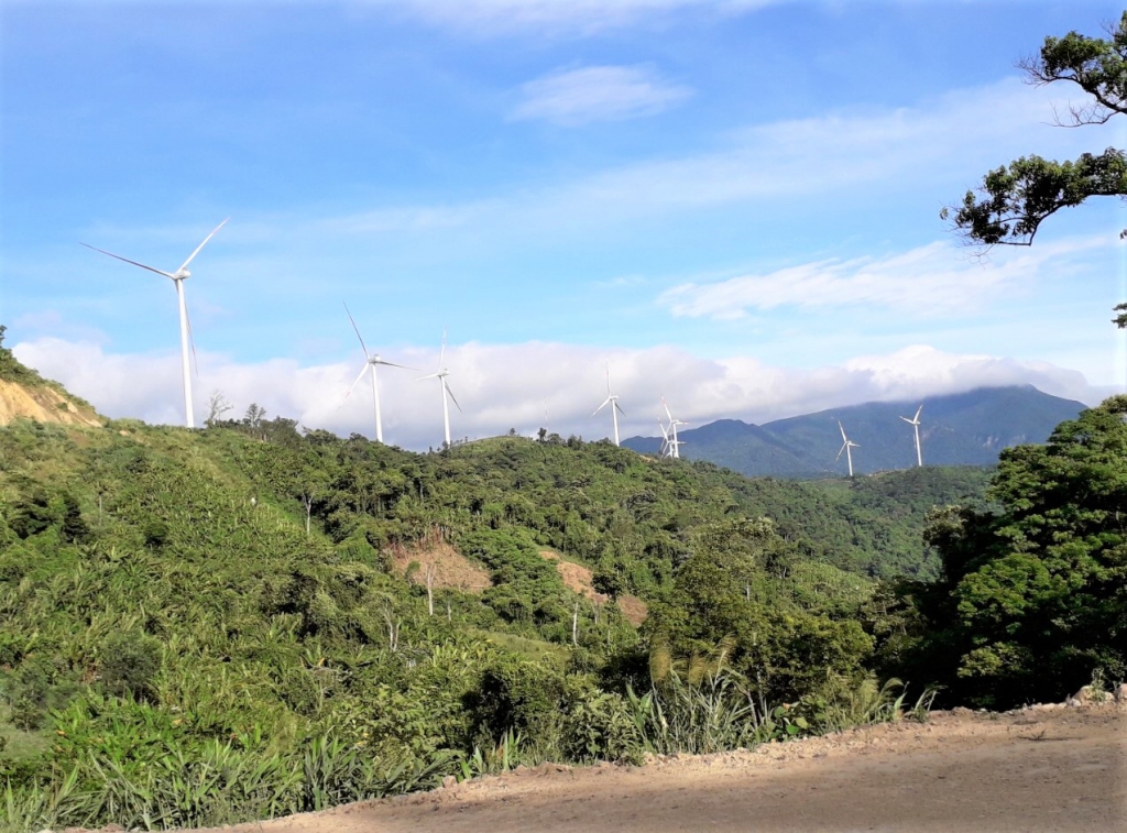 nhung canh quat khong lo tren canh dong dien gio huong linh