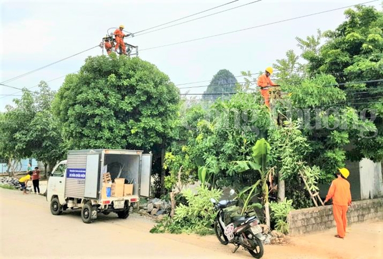 Ngành điện Quảng Bình khẩn trương ứng phó với bão số 4 nganh dien quang binh khan truong ung pho voi bao so 4