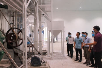 Quảng Bình: Hỗ trợ mô hình trình diễn kỹ thuật từ vốn khuyến công quốc gia