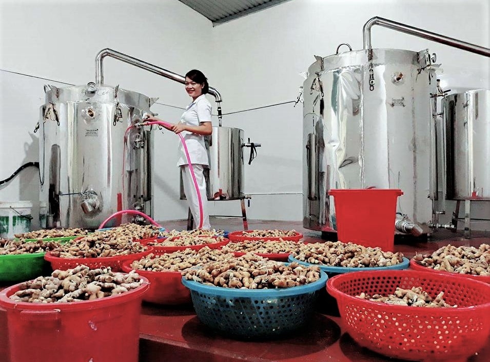 Quảng Trị: Vốn khuyến công ưu tiên hoạt cho động trình diễn, ứng dụng khoa học kỹ thuật quang tri von khuyen cong uu tien hoat cho dong trinh dien ung dung khoa hoc ky thuat