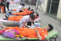 Ngành điện Quảng Bình: 130 cán bộ, công nhân viên tham gia “Tuần lễ hồng EVN lần thứ V”