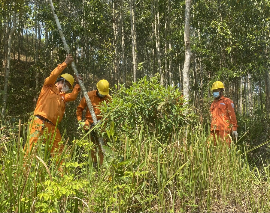 undefined PC Kon Tum: Đẩy mạnh công tác phát quang hành lang lưới điện