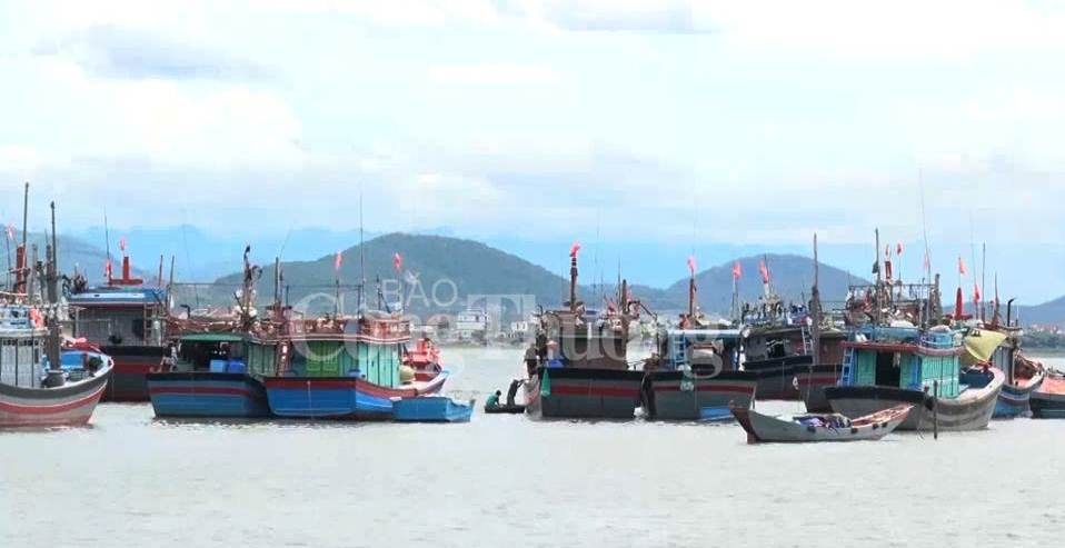 Quảng Bình: Tháo gỡ vướng mắc cho tàu cá vươn khơi bám biển quang binh thao go vuong mac cho tau ca vuon khoi bam bien