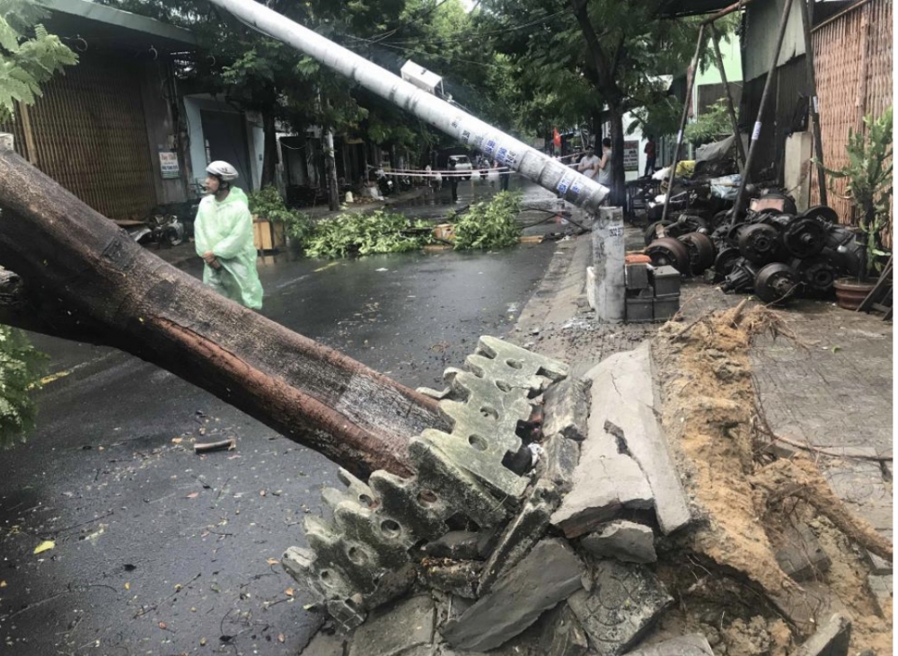 Hàng loạt cột điện ngã đỗ do cơn bão số 5:  Nguyên nhân do đâu?