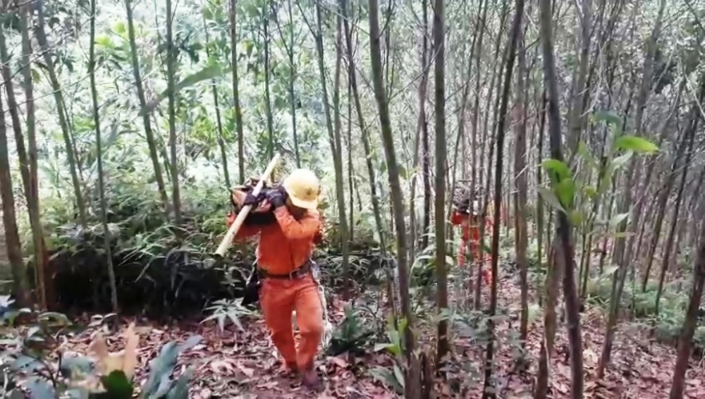 0920-20200922-cat-rung