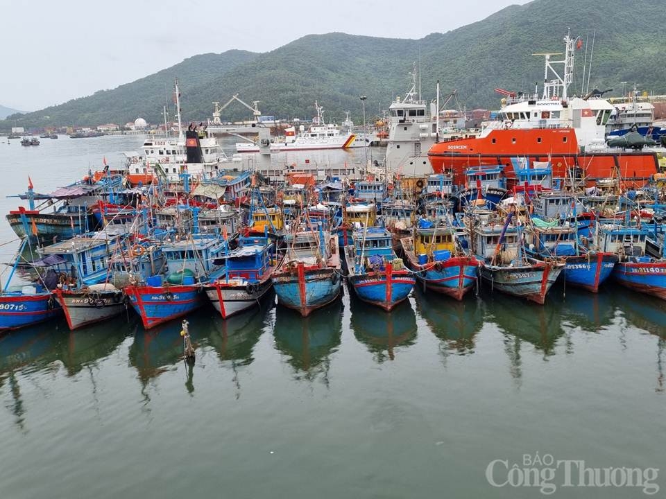 Đà Nẵng: Tạo điều kiện cho người dân di chuyển chống bão trong thời gian dịch bệnh