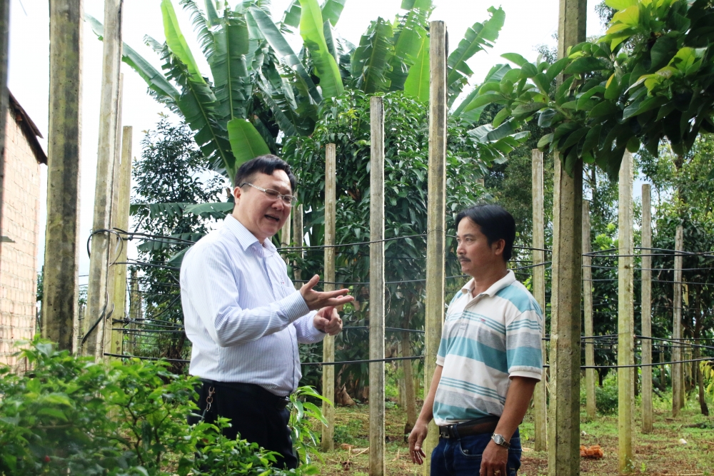 Nỗ lực đưa dự án đường dây 500 kV mạch 3 Dốc Sỏi – Pleiku 2 về đích Nỗ lực đưa dự án đường dây 500 kV mạch 3 Dốc Sỏi – Pleiku 2 về đích