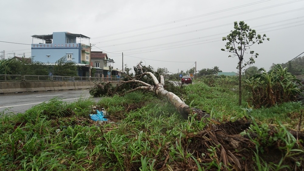 Tâm bão Quảng Ngãi: Gió lớn và mưa to, đã có thiệt hại về người 5907-0f02e1ea-1569-40a6-881e-76240a2cf56f