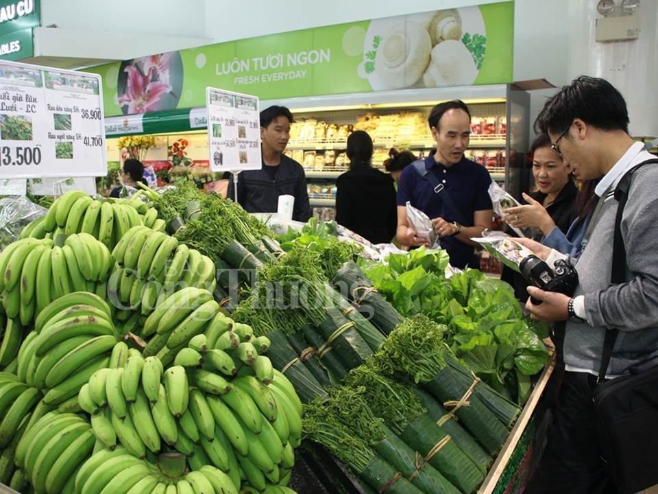 Sơn Hà - Quảng Ngãi: Kinh tế phát triển nhờ chương trình sinh kế bền vững son ha quang ngai phat trien doi song kinh te nho chuong trinh sinh ke ben vung