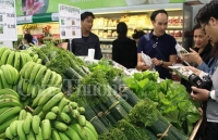 Sơn Hà - Quảng Ngãi: Kinh tế phát triển nhờ chương trình sinh kế bền vững