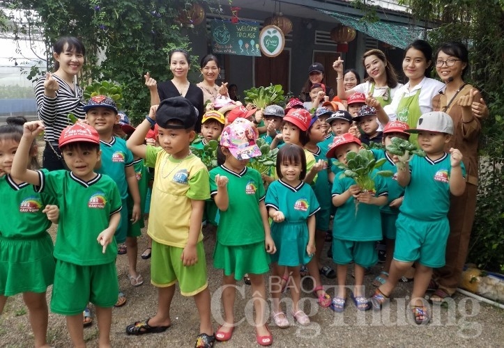 9X nghỉ việc tại ngân hàng để khởi nghiệp với rau sạch 9x nghi viec tai ngan hang de khoi nghiep voi rau sach