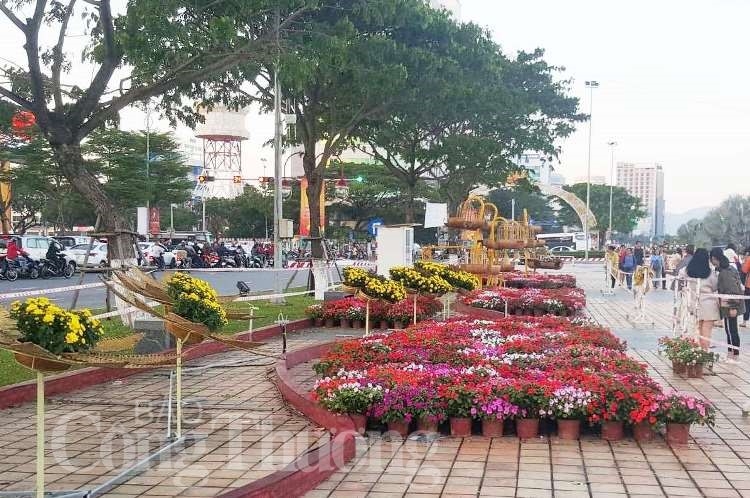 da nang ruc ro sac xuan tai lang hoa van duong