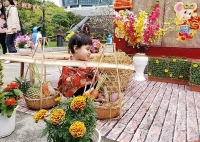 Đà Nẵng: Giữ văn hóa Việt với 