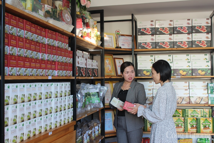 Kon Tum: Liên kết tiêu thụ sản phẩm OCOP