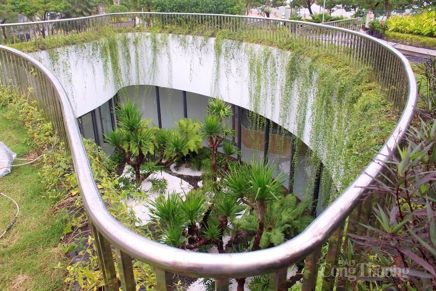 Đà Nẵng: Vườn tượng APEC mở rộng chính thức mở cửa phục vụ người dân, du khách Đà Nẵng: Vườn tượng APEC mở rộng chính thức mở cửa phục vụ người dân, du khách