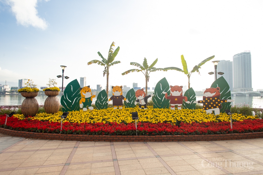 Rực rỡ sắc xuân tại đường hoa Đà Nẵng