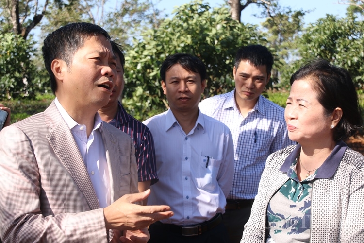 Bộ trưởng Bộ Công Thương thị sát việc triển khai các dự án năng lượng tại Gia Lai bo truong bo cong thuong thi sat viec trien khai cac du an nang luong tai gia lai