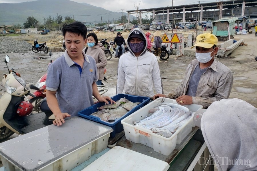 Những chuyến tàu cá “no cá” chở đầy niềm vui của ngư dân miền Trung Những tàu cá “no cá” chở đầy niềm vui của ngư dân miền Trung