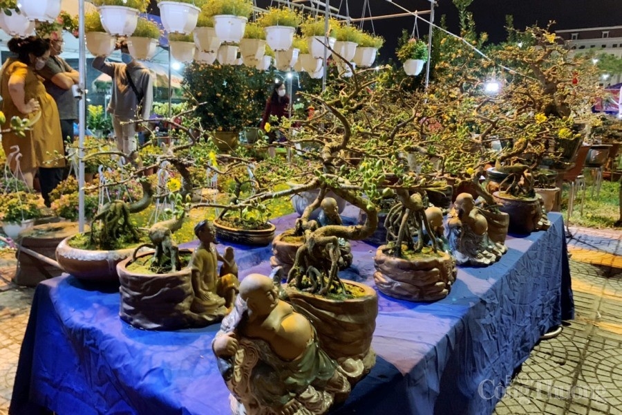 Đà Nẵng: Sắm hoa Tết rực rỡ để đón năm mới bình an